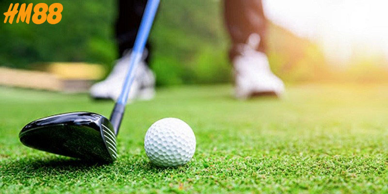 Cá cược golf tài xỉu điểm số